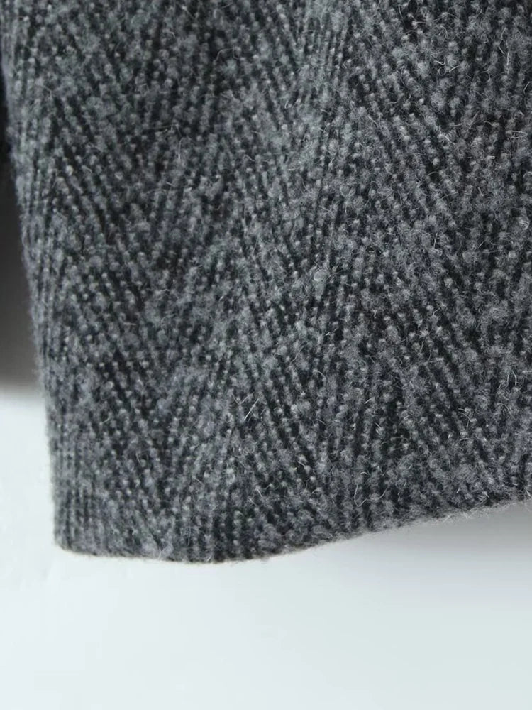 New autumn women's clothing European and American style fashion personality daily versatile loose casual suit woolen jacket